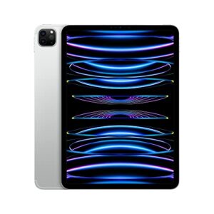 2022 Apple iPad Pro (11-Inch, Wi-Fi + Cellular, 1TB) – Silver (Reacondicionado)