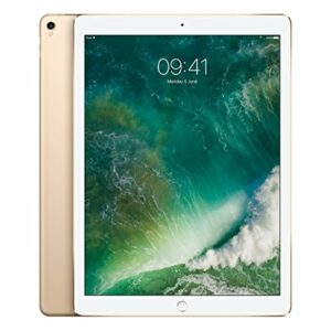 Apple iPad Pro (12.9 inch, Wi-Fi + Cellular, 512GB) Oro (Reacondicionado)